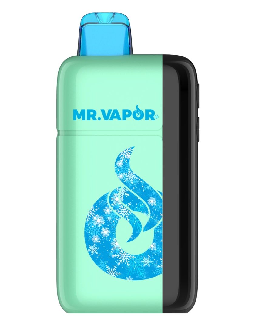 MR. VAPOR ARCTIC WINTERGREEN 5% 30K PUFF ADJUSTABLE NIC &amp; ICE LEVEL 5/CT