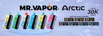 MR. VAPOR ARCTIC 30K PUFF