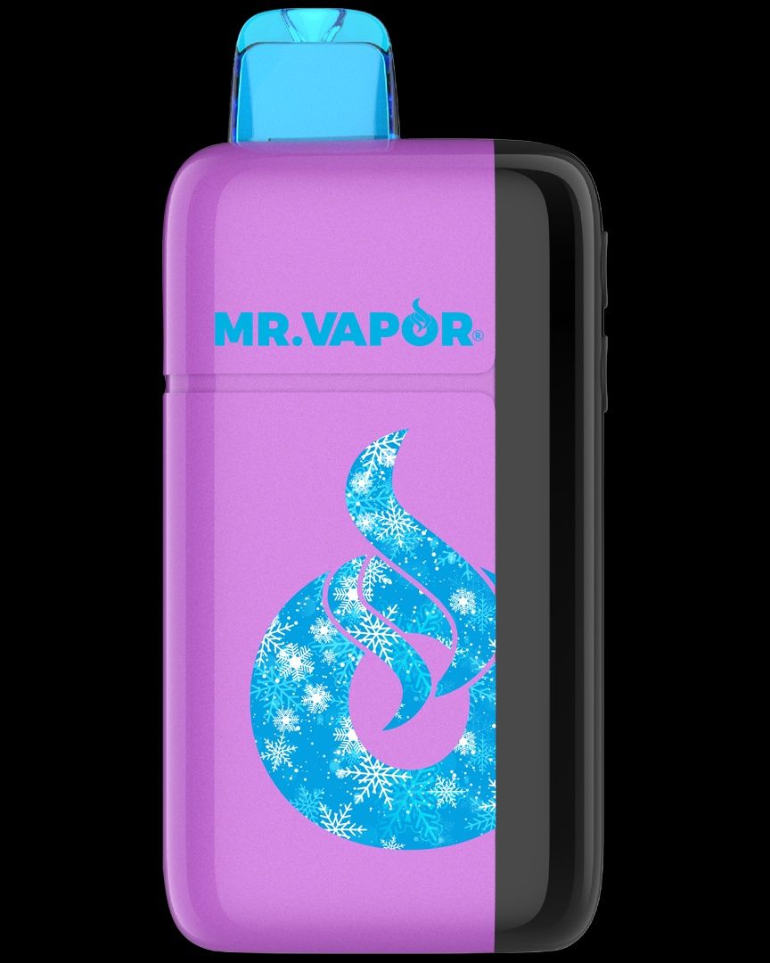 MR. VAPOR ARCTIC GRAPE SLUSH 5% 30K PUFF ADJUSTABLE NIC &amp; ICE LEVEL 5/CT