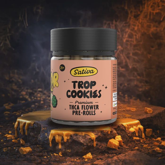 CHEDDR TROP COOKIES (S) THCA FLOWER PREROLL 50/CT