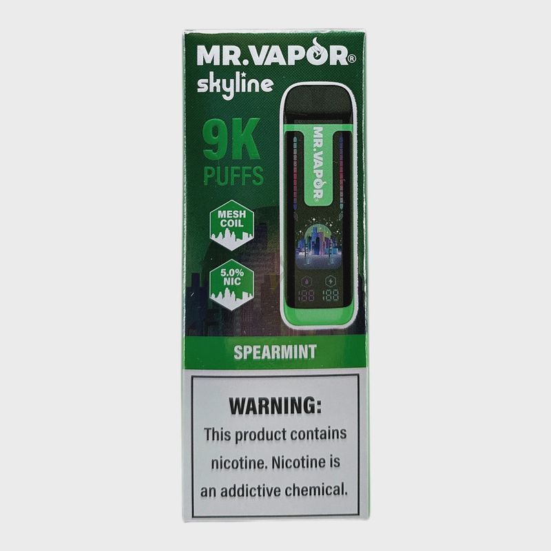 MR VAPOR SKYLINE 5% SPEARMINT 5/CT