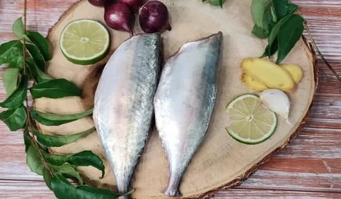 Indian Mackerel / Ayala