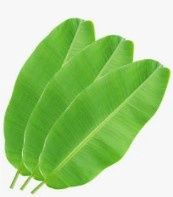 Fresh Banana Leaves