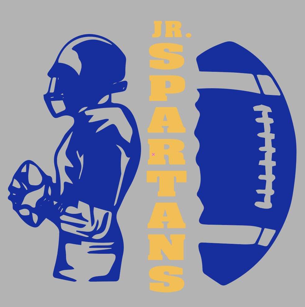 FOOTBALL logo - T-SHIRT or HOODIE YOUTH &amp; ADULT SIZES