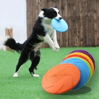 Woofaroo Silicone Frisbee