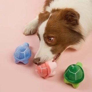 Soft Woofaroo Turtle Chew Toy!
