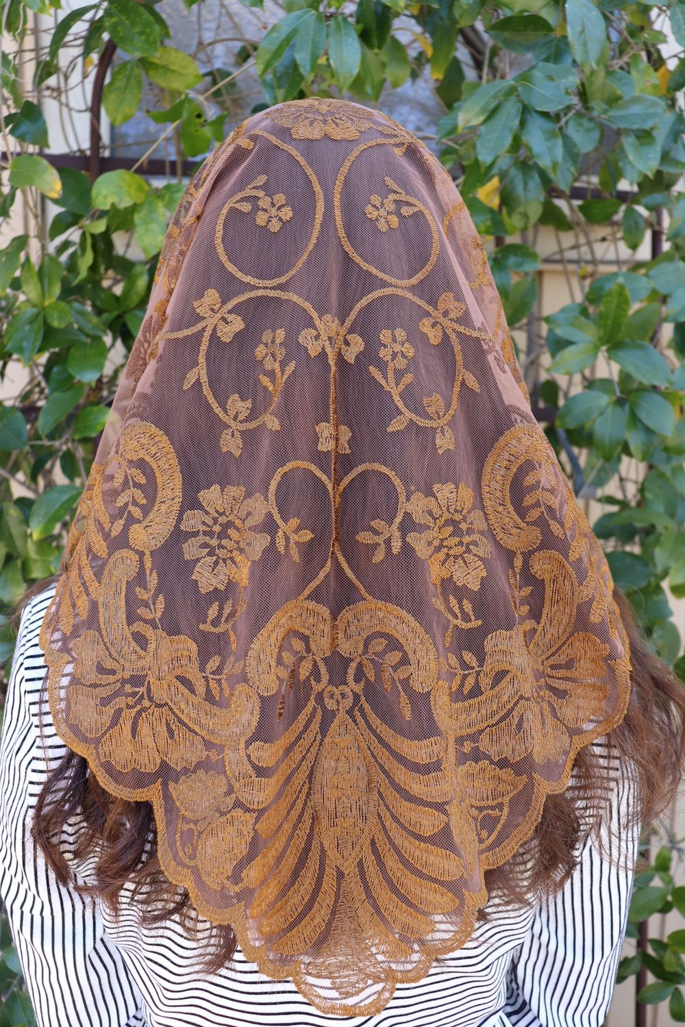 Jacinta Veils, Colour: Amber