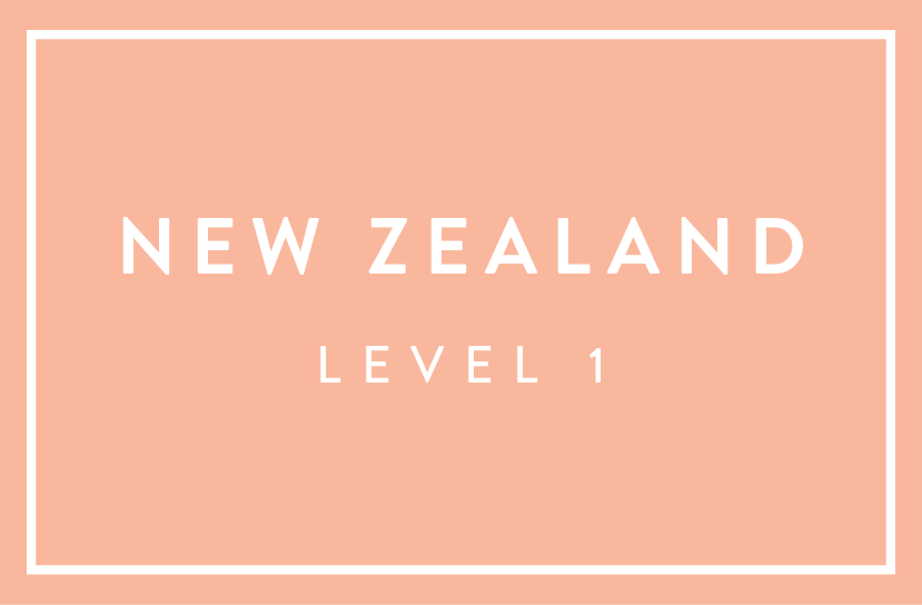 Level 1 Workshop - New Zealand