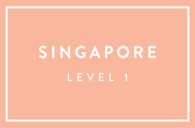 Level 1 Workshop - Singapore