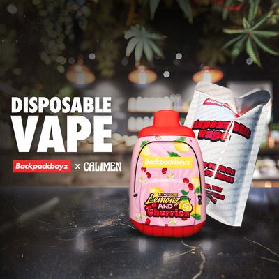 Disposable Vapes / Cartridges