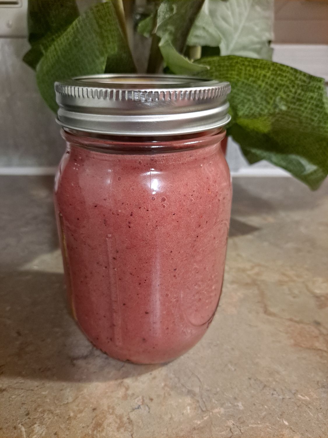 16oz Elderberry Sea Moss