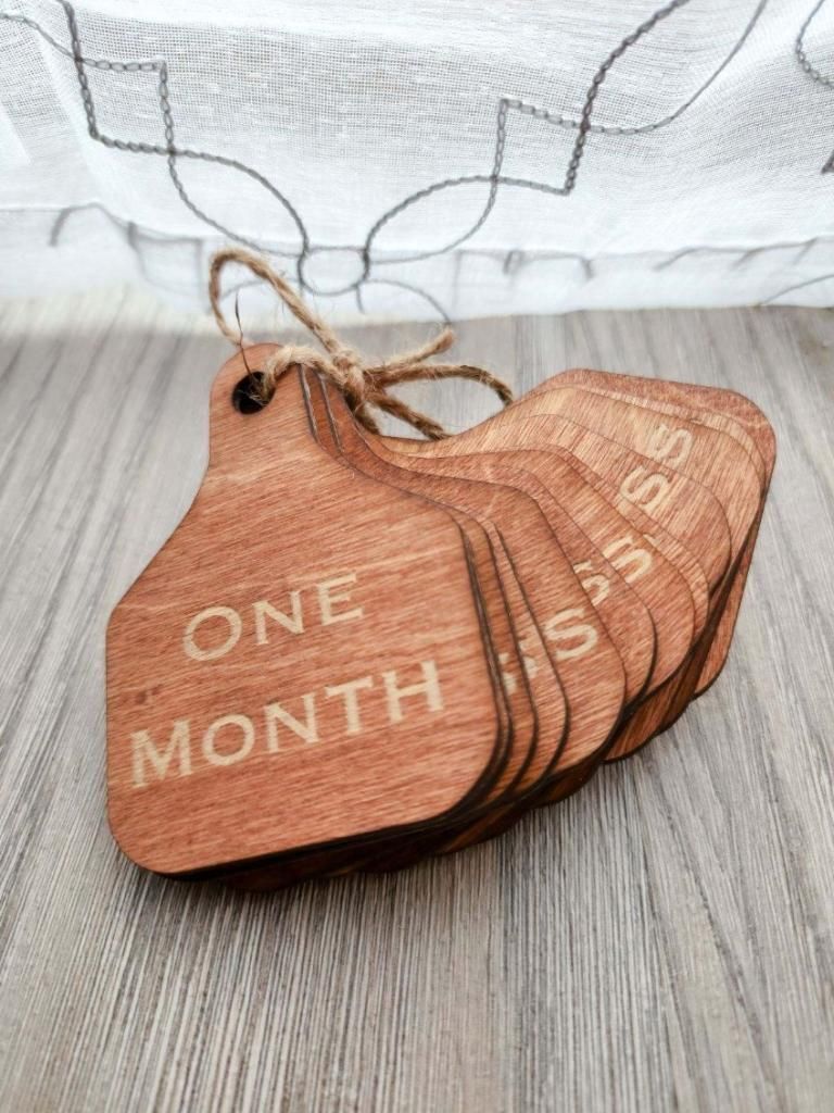 Cow Ear Tag Monthly Milestone Set