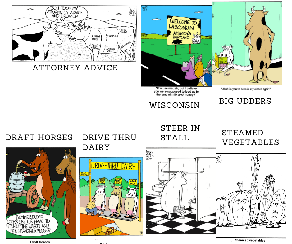 Rubes Cartoons Coasters