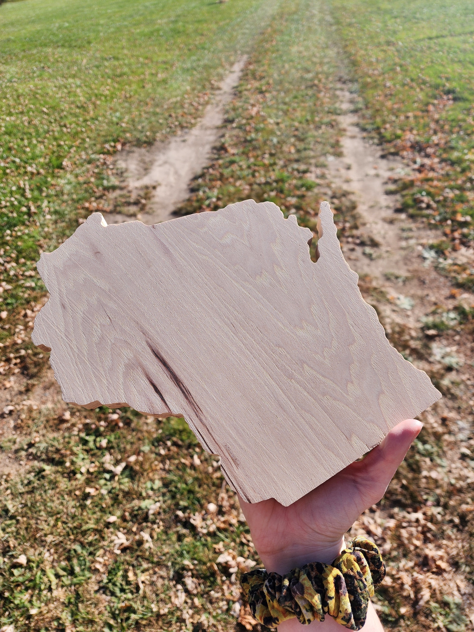 Wisconsin Shaped Serving Board