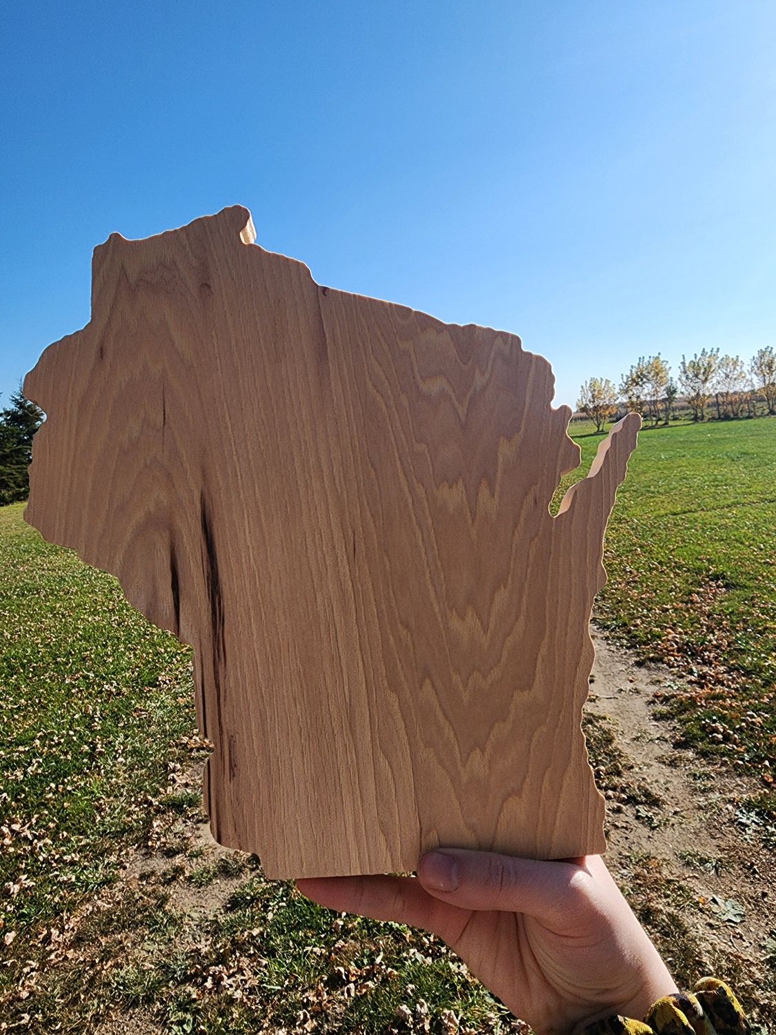 Wisconsin Shaped Serving Board
