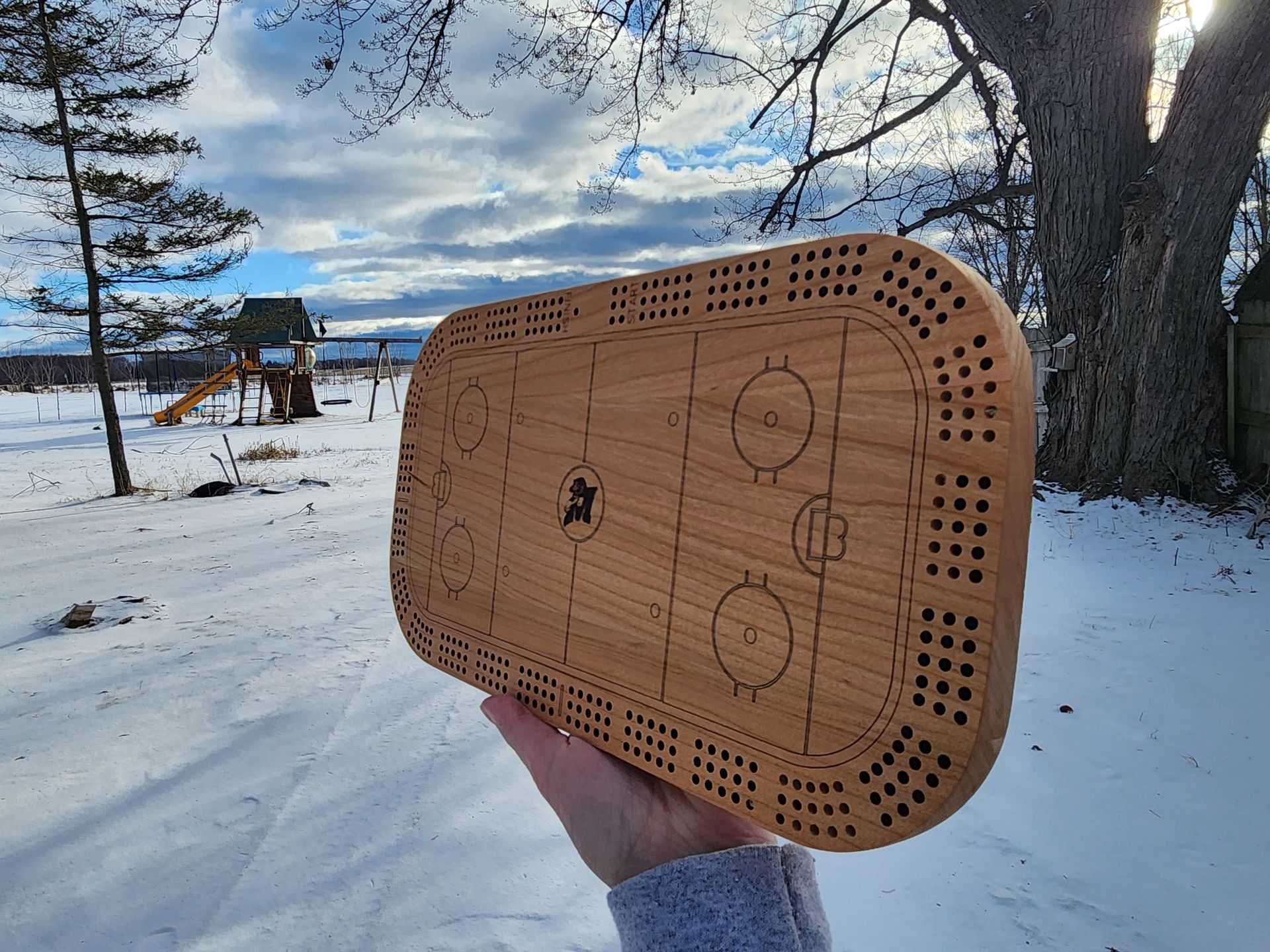 Ice Rink Cribbage Board