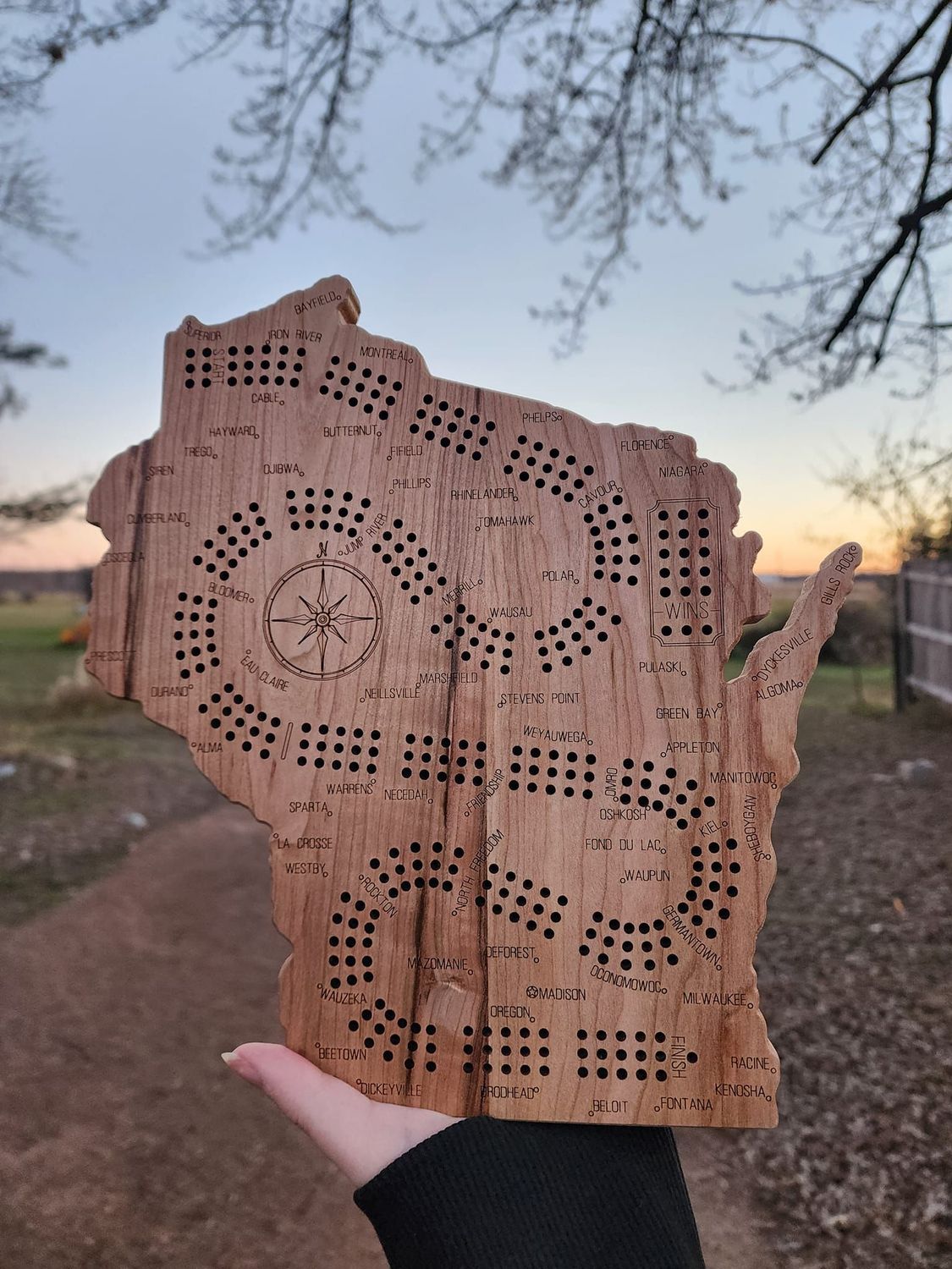 State Shaped Cribbage Board with Pegs
