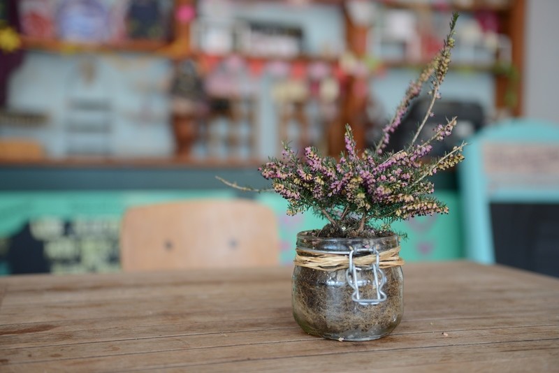 Rustic Pot 10x12 Inches
