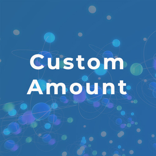 Pay Custom Amount