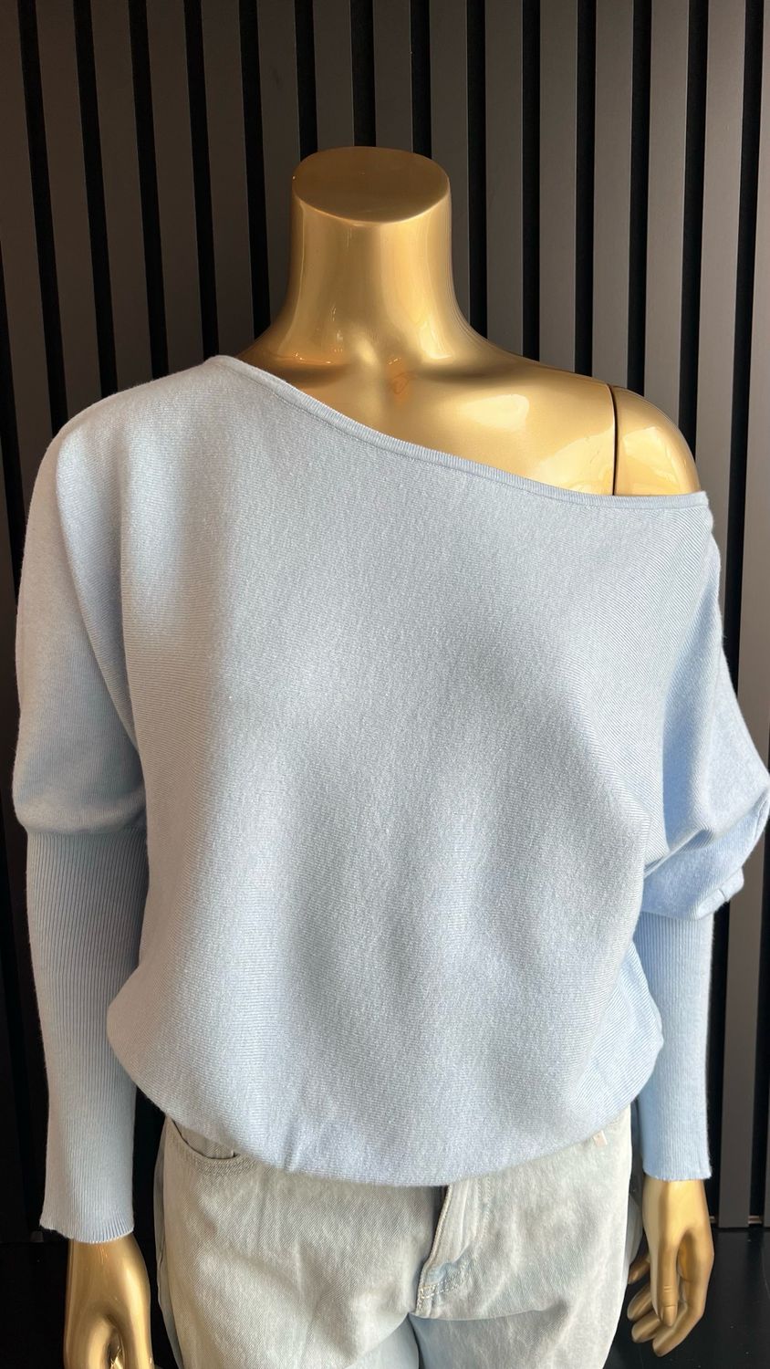 Trui blauw