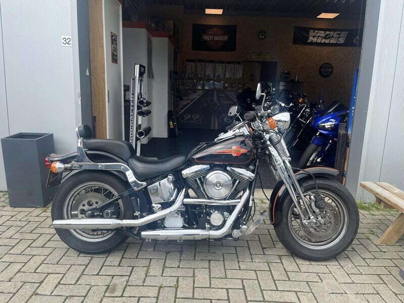 Harley-Davidson Springer FXSTS