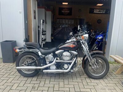 Harley-Davidson Springer FXSTS