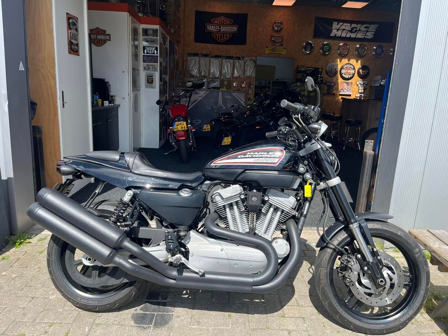 Harley Davidson xr 1200 2009