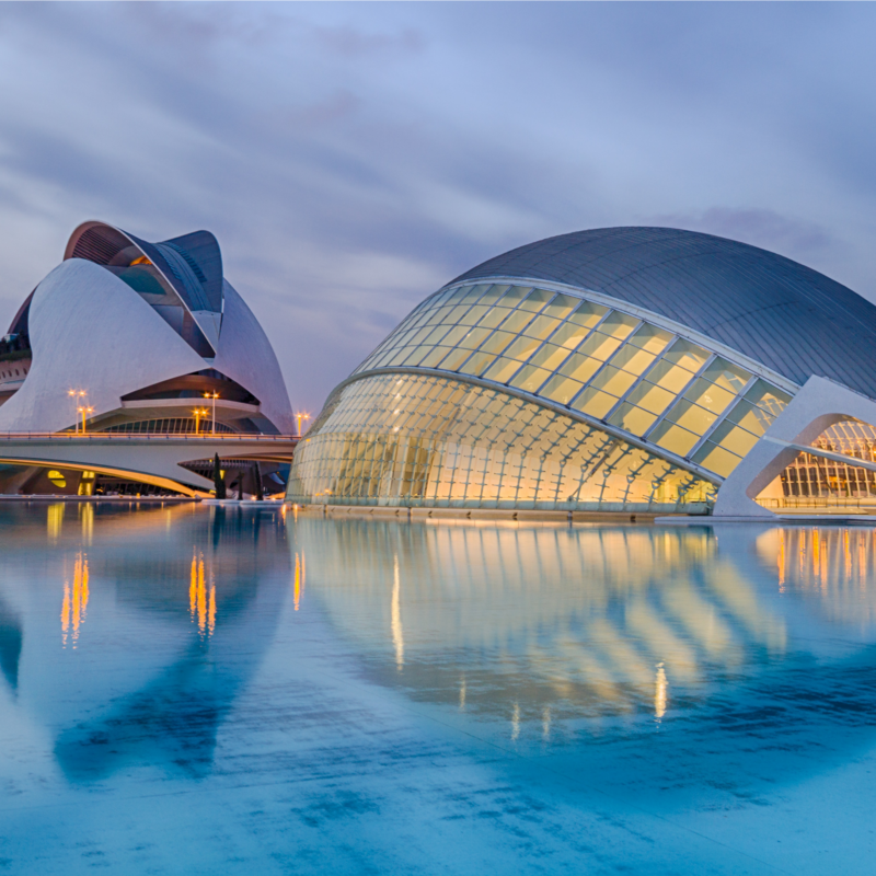 SPANISH COURSE FOR PROFESSIONALS