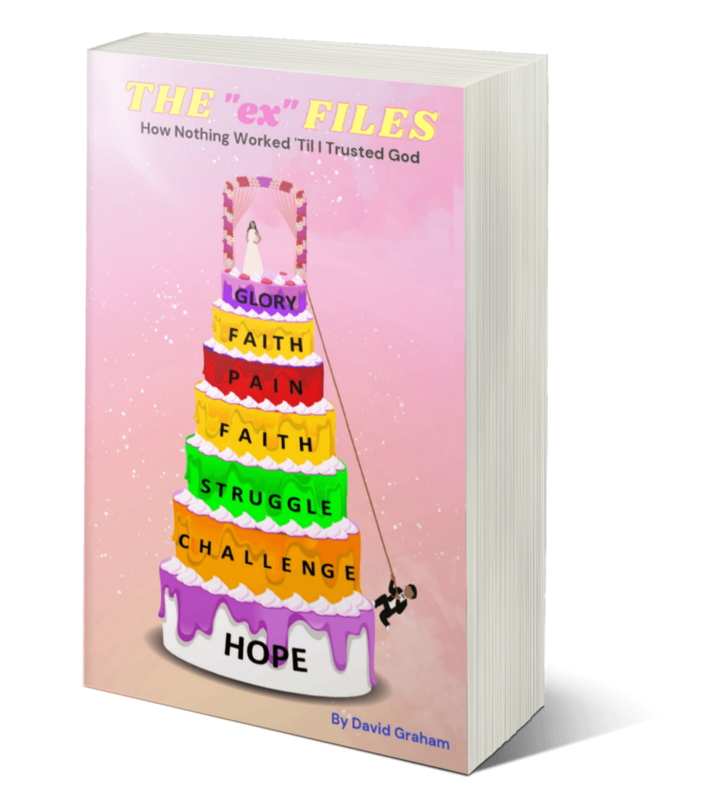 The &quot;Ex&quot; Files (paperback)