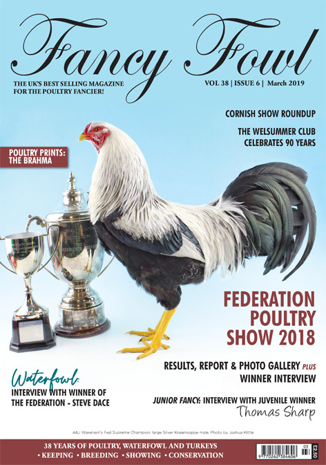 Fancy Fowl March 2019