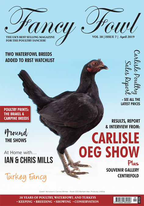 Fancy Fowl April 2019