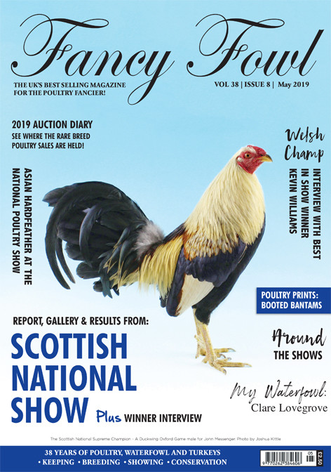 Fancy Fowl May 2019