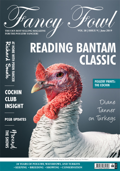Fancy Fowl June 2019