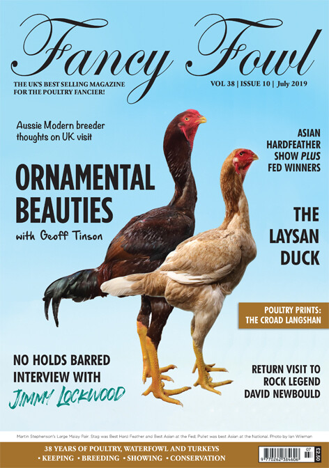 Fancy Fowl July 2019