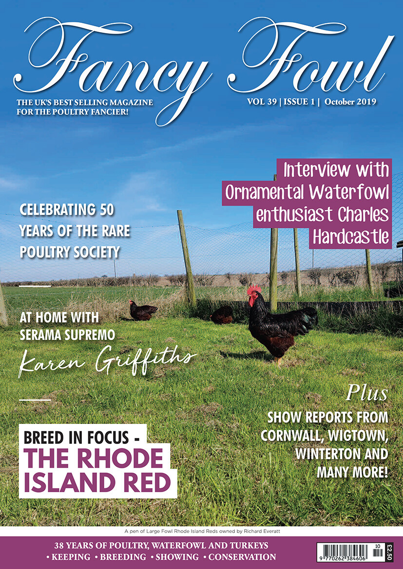Fancy Fowl October 2019