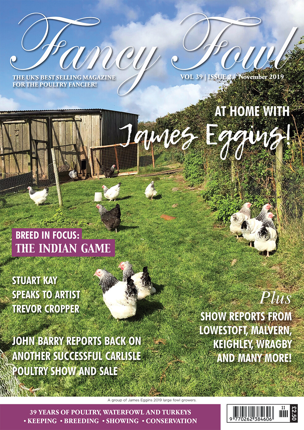 Fancy Fowl November 2019