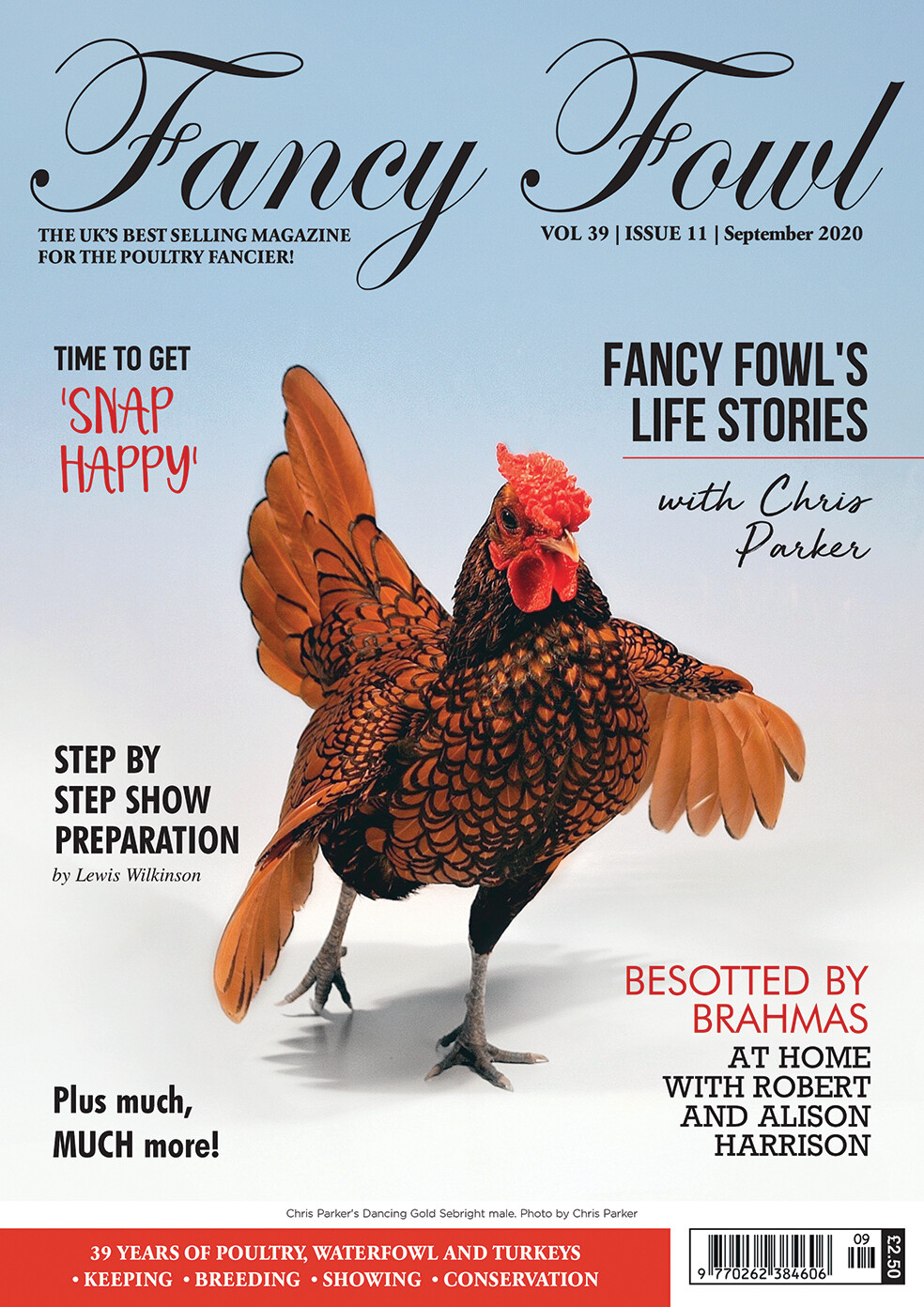 Fancy Fowl September 2020