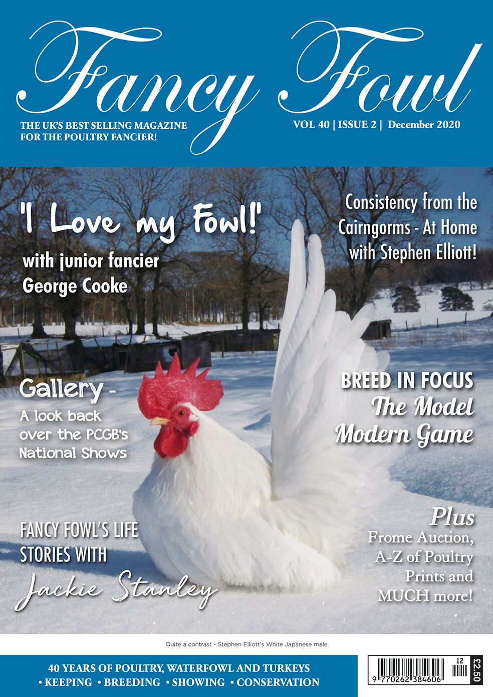 Fancy Fowl December 2020
