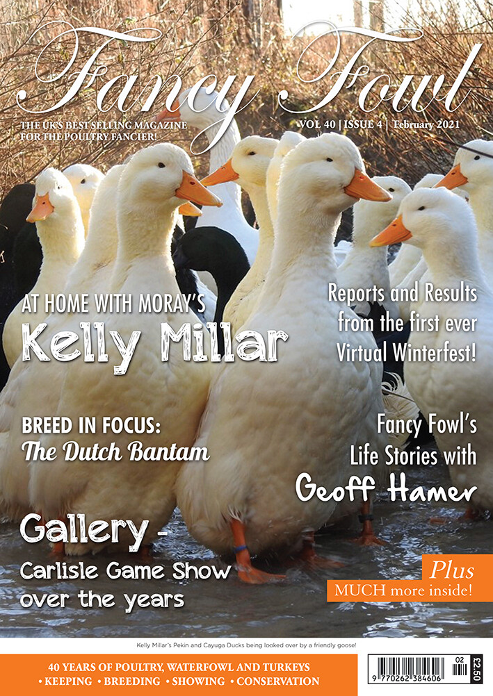 Fancy Fowl February 2021