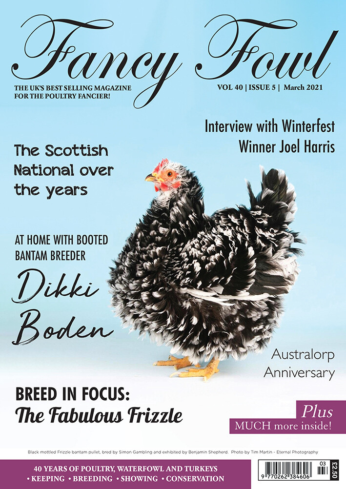 Fancy Fowl March 2021