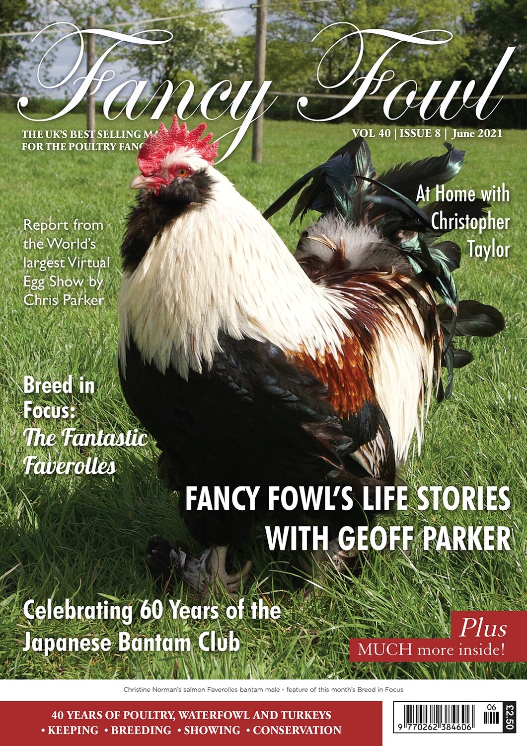 Fancy Fowl June 2021