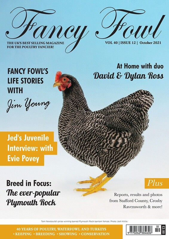 Fancy Fowl October 2021