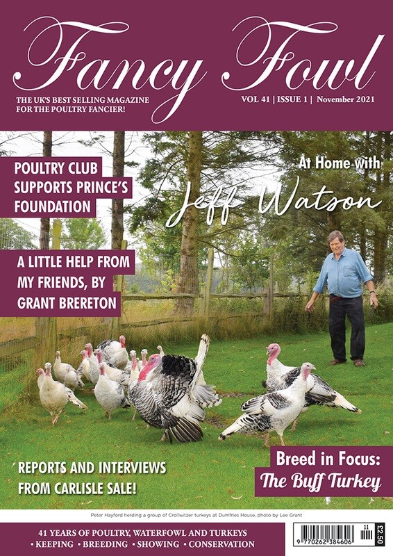 Fancy Fowl November 2021