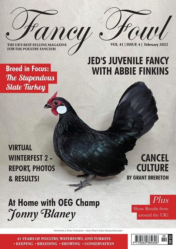 Fancy Fowl February 2022