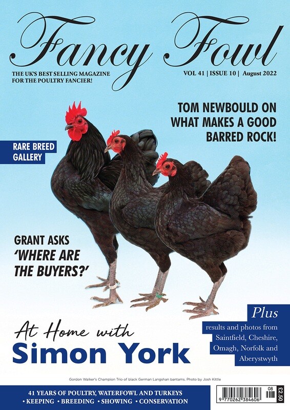 Fancy Fowl August 2022