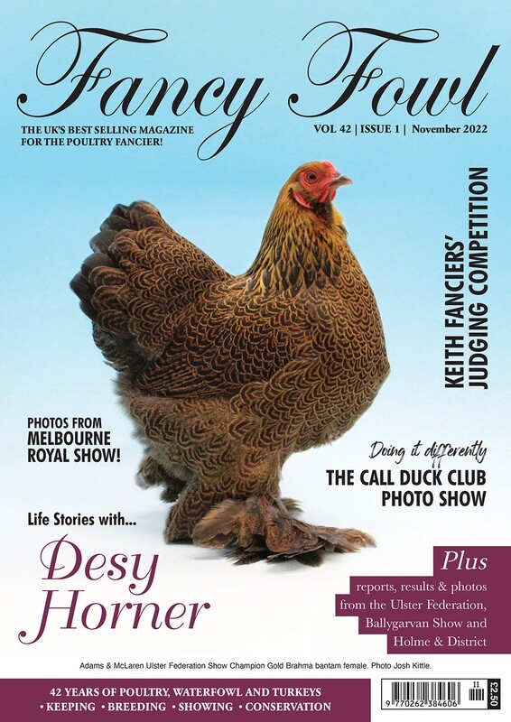 Fancy Fowl November 2022