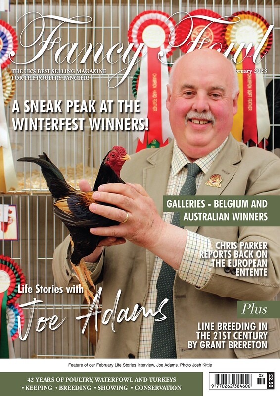 Fancy Fowl February 2023