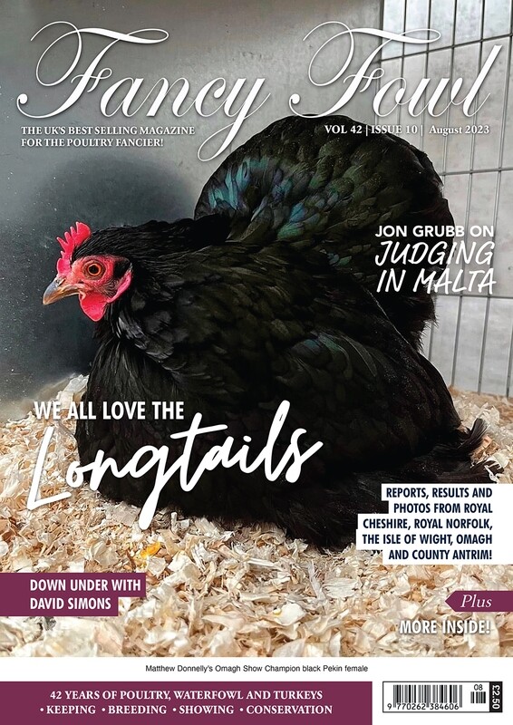 Fancy Fowl August 2023