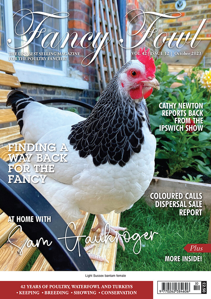 Fancy Fowl October 2023