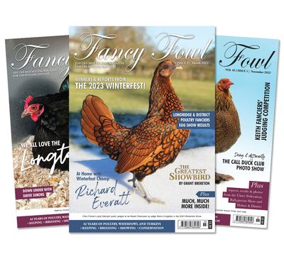 Subscriptions (UK Only)